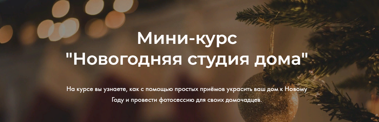 [Яна Савина] Новогодняя студия дома (2023)_0.png